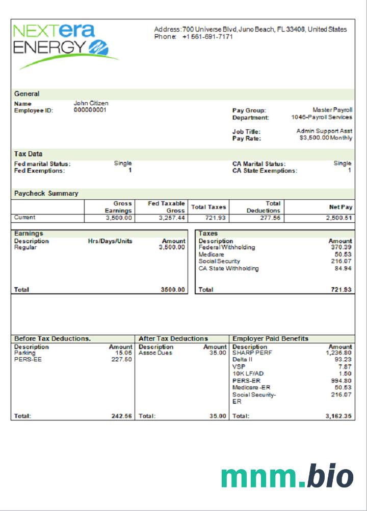 USA NextEra Energy electric company pay stub